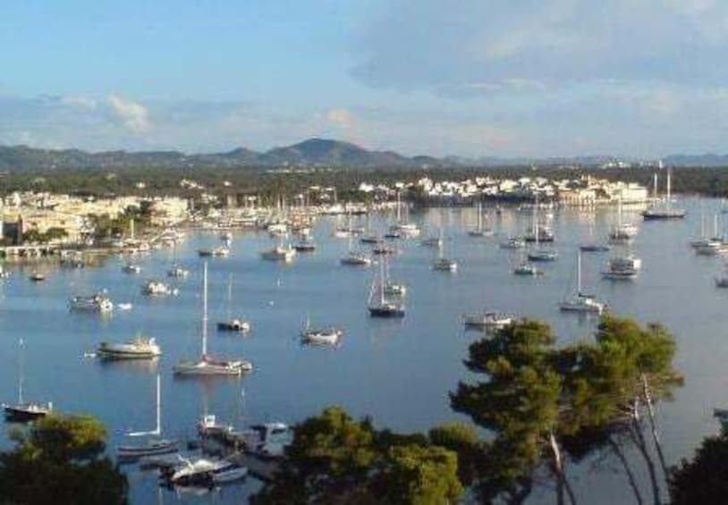 Picture 18 for Activity Cala Millor/Sa Coma: Guided Buggy Tour