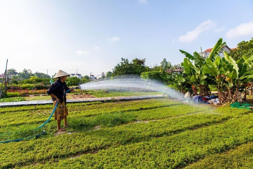 Tra Que Village Afternoon Cooking Farming Tour with Bike Ride in Hoi An