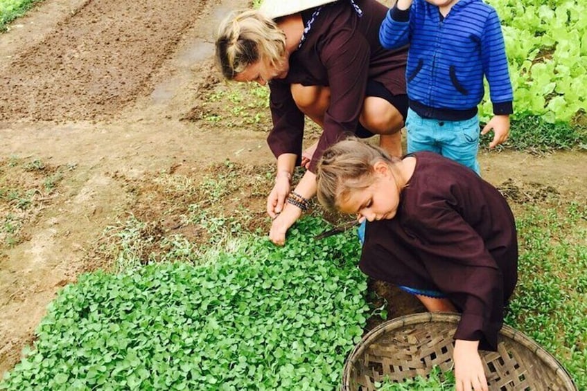 Tra Que Village Afternoon Cooking Farming Tour with Bike Ride in Hoi An	