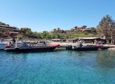 From Sagone/Cargèse: Capo Rosso, Piana & Scandola Boat Tour