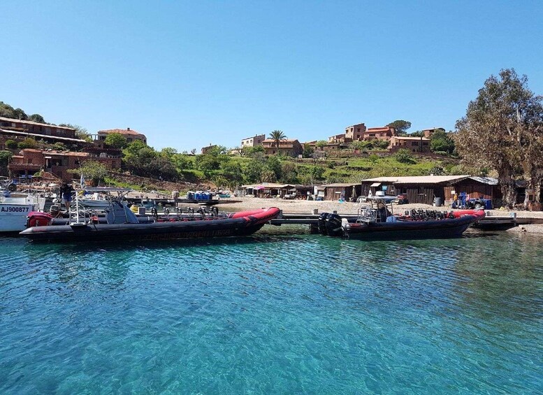 Picture 1 for Activity From Sagone/Cargèse: Capo Rosso, Piana & Scandola Boat Tour