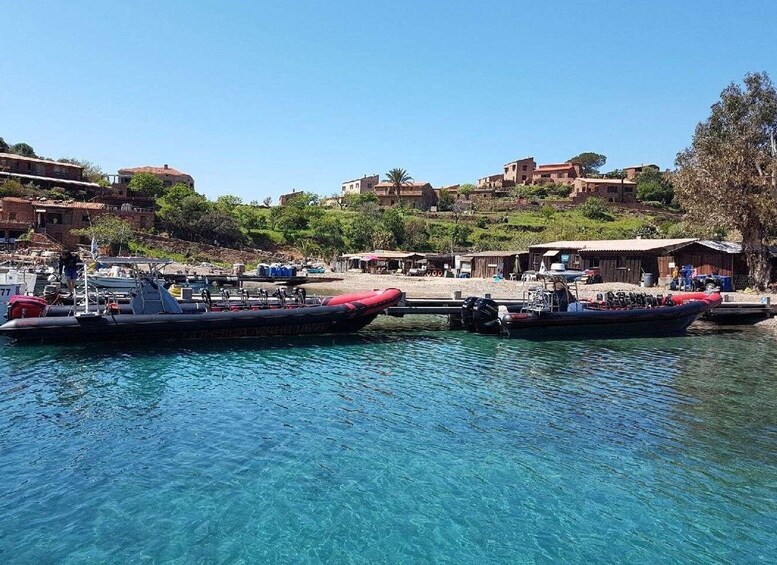 Picture 1 for Activity From Sagone/Cargèse: Capo Rosso, Piana & Scandola Boat Tour