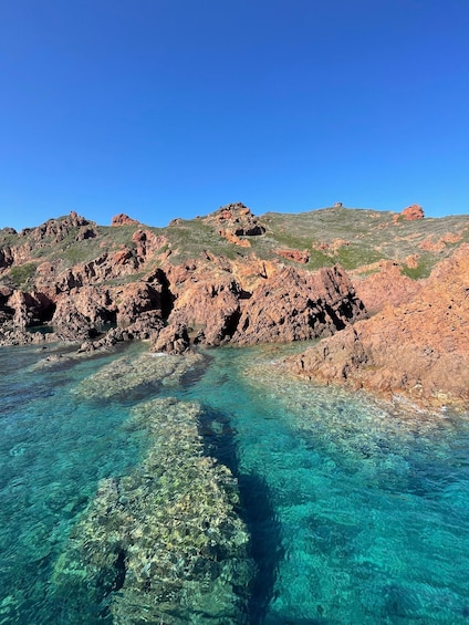 Picture 9 for Activity From Sagone/Cargèse: Capo Rosso, Piana & Scandola Boat Tour