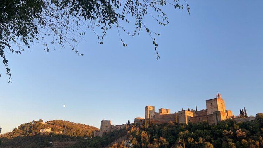 Private Tour Albayzin and City Center