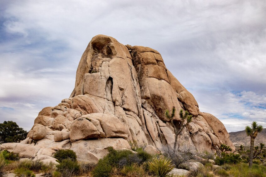 California National Parks: Self-Guided Audio Tour Bundle