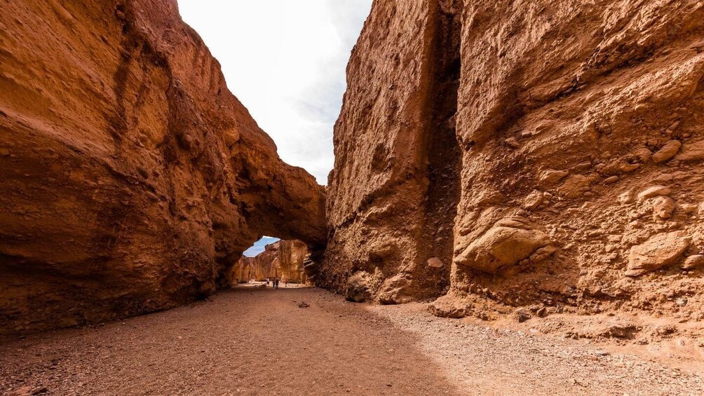 California National Parks: Self-Guided Audio Tour Bundle