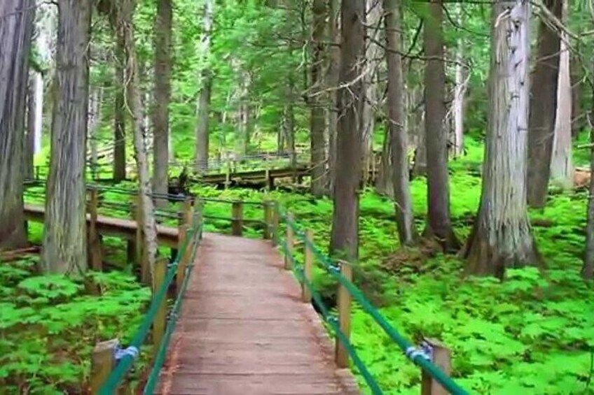 Smartphone Audio Driving Tour Between Lake Louise & Revelstoke