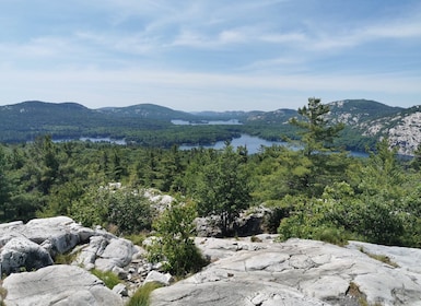 Von Toronto aus: Der Crack-Wandertag im Killarney Park