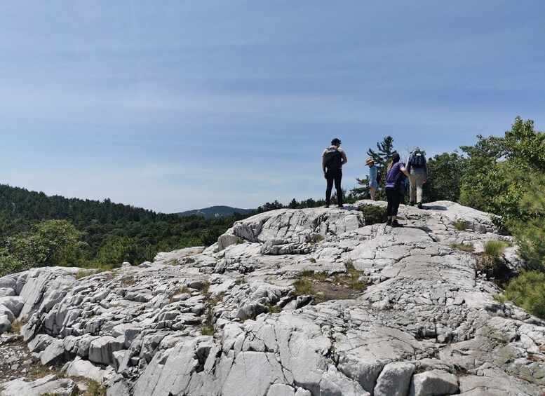 Picture 1 for Activity From Toronto: The Crack Hiking Day Trip in Killarney Park