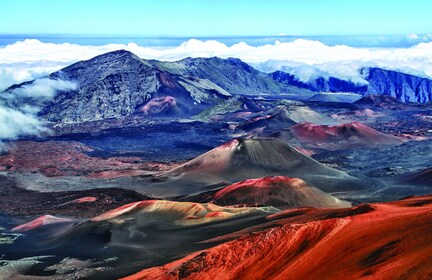 Day Trip Best of Maui: Sips, Sites & Bites Tour from Oahu