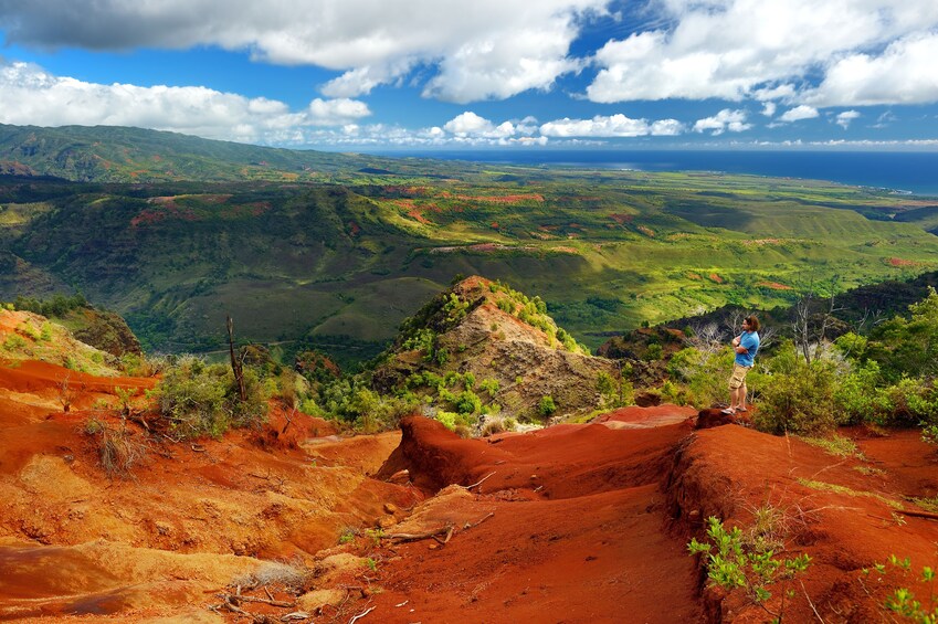 Day Trip Waimea Canyon and Koke'e from Oahu to Kauai