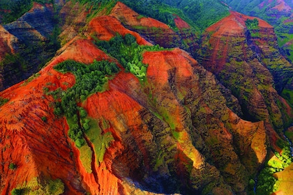 Dagtocht Waimea Canyon en Koke'e van Oahu naar Kauai