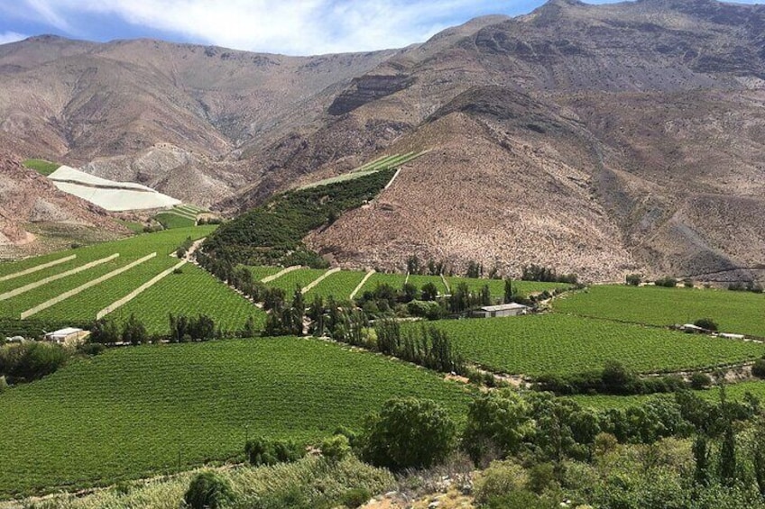 Elqui Valley