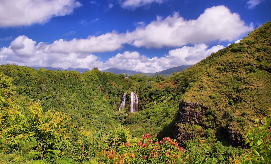 Day Trip Movie Adventure Tour From Oahu to Kauai