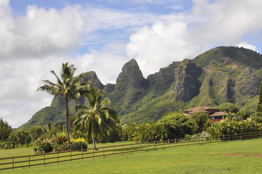 Day Trip Movie Adventure Sightseeing & Helicopter Tour From Oahu to Kauai