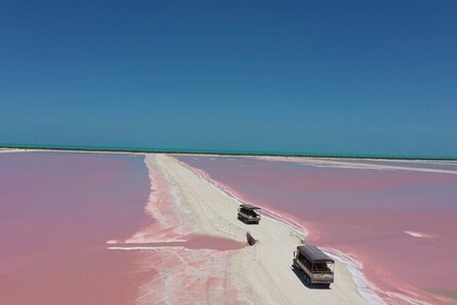 Tour in Las Coloradas from Mérida All-inclusive