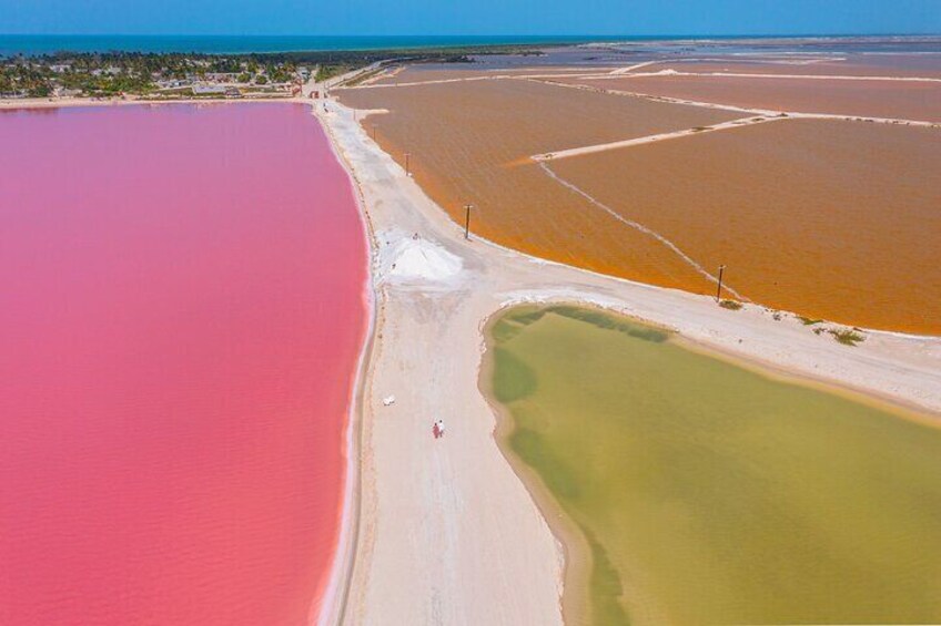 Tour in Las Coloradas from Mérida All Inclusive