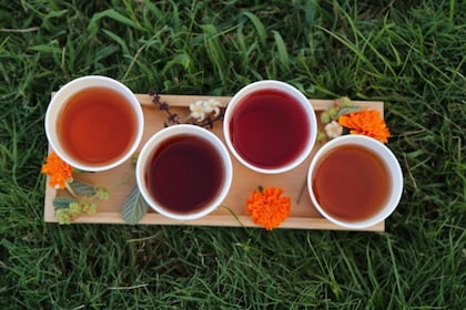 Tour combinado de té de hierbas y degustación de frutas
