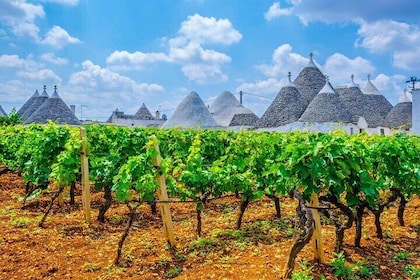 Alberobello and Wine & Food Tasting Private Tour