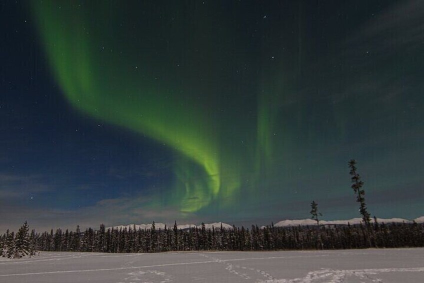 Northern Lights and Aurora Borealis Viewing for Small Groups