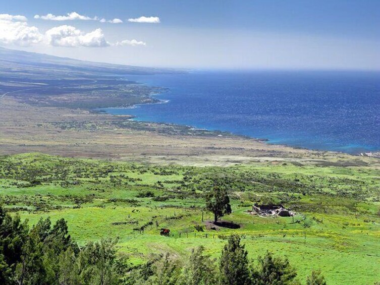 Big Island North Kohala Coast and Pololu Lookout Private Tour