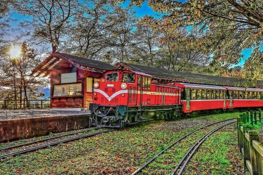 Scenic train ride on Alishan Forest Railway