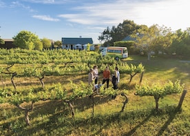 Barossa Valley Highlights Wine & Food Tour