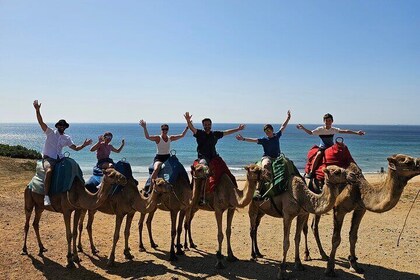 Morocco Express: Private Tour Tangier from Seville AllInclusive