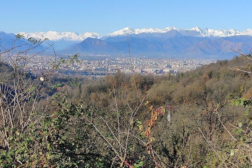 Hiking Among the Vineyards of Superga Hill