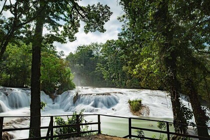 Tour to Agua Azul and Misol Waterfalls and Palenque Archaeological Zone