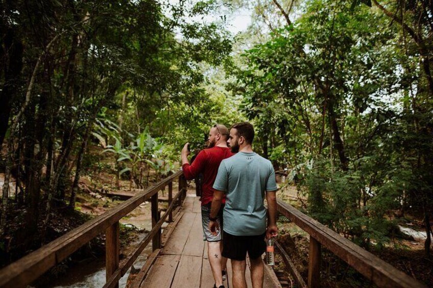 Tour to Agua Azul and Misol Waterfalls and Palenque Archaeological Zone