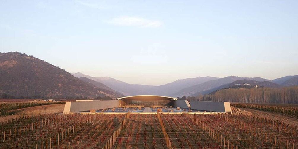 Picture 4 for Activity Santiago: Guided VIK Winery Tour with Tasting & Hotel Pickup