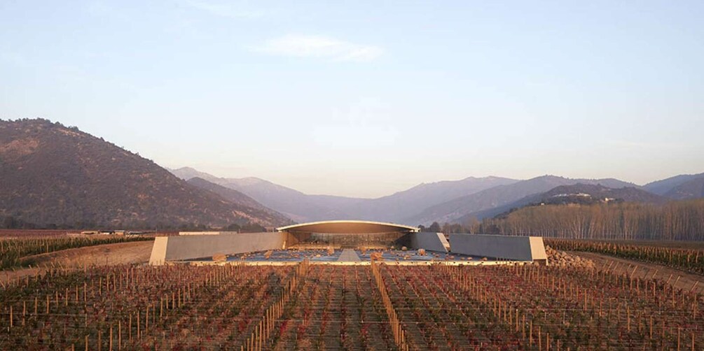 Picture 4 for Activity Santiago: Guided VIK Winery Tour with Tasting & Hotel Pickup