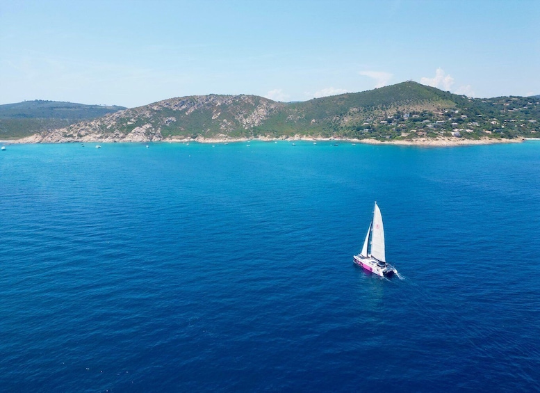 Picture 2 for Activity Côte d'Azur: Half-Day Coastline Catamaran Sailing Tour