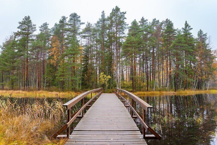 Private Tour of Nuuksio National Park Adventure by Car