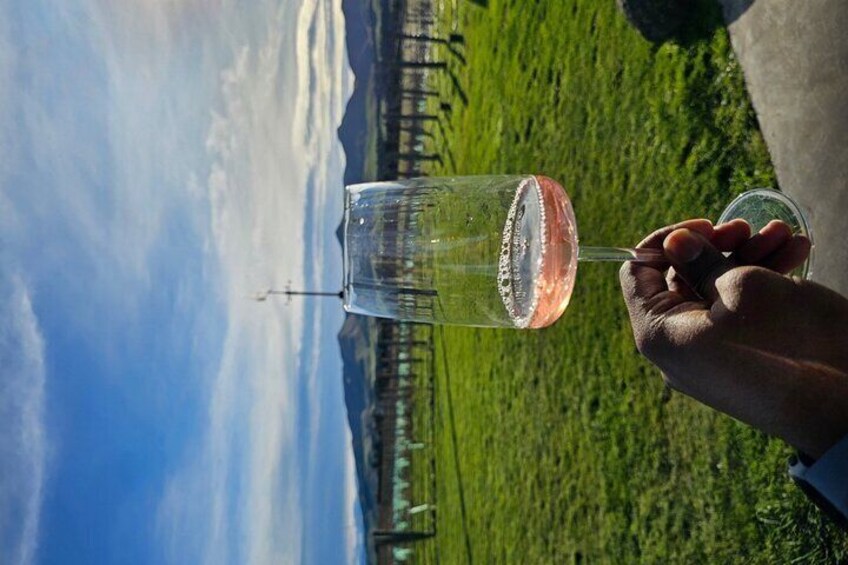 Waipara Wine Trail Tour From Christchurch 