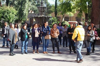 Pedestrian Tour in San Luis Potosí City centre Historic District