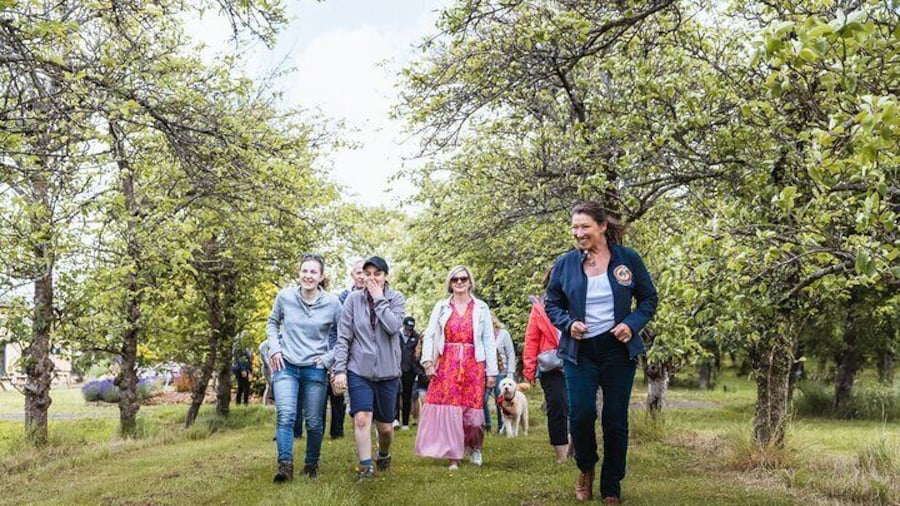Cider Orchard Tour
