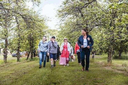 Dorset Pint Glass Explore Breweries and Orchards Tour