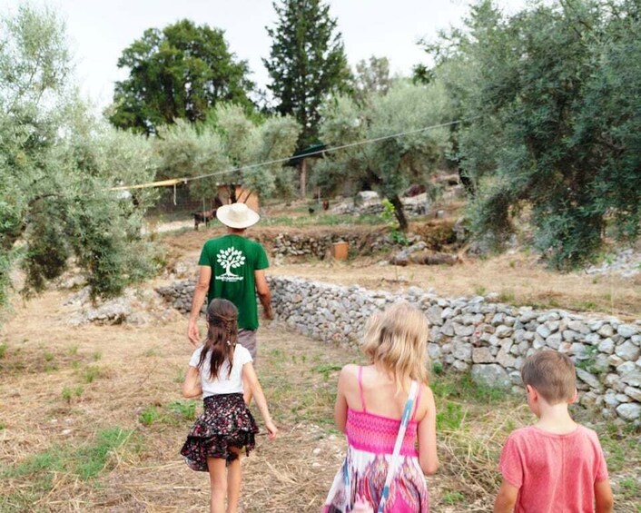 Picture 8 for Activity The Olive Oil Experience @ Lefkada Micro Farm