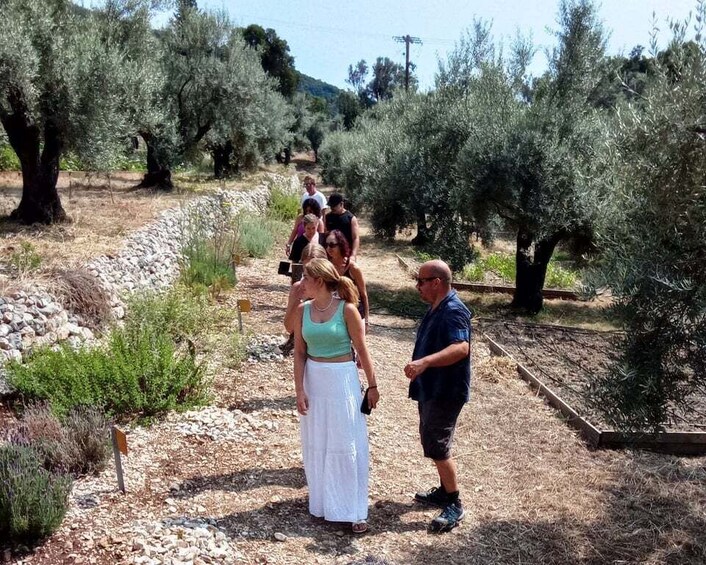 Picture 12 for Activity The Olive Oil Experience @ Lefkada Micro Farm