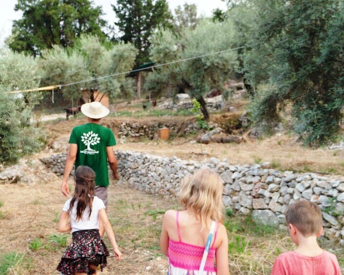 Picture 8 for Activity The Olive Oil Experience @ Lefkada Micro Farm