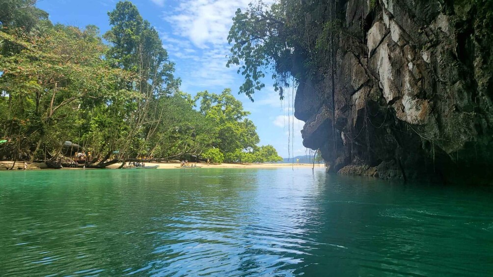 Picture 2 for Activity From Puerto Princesa: Underground River Guided Day Trip