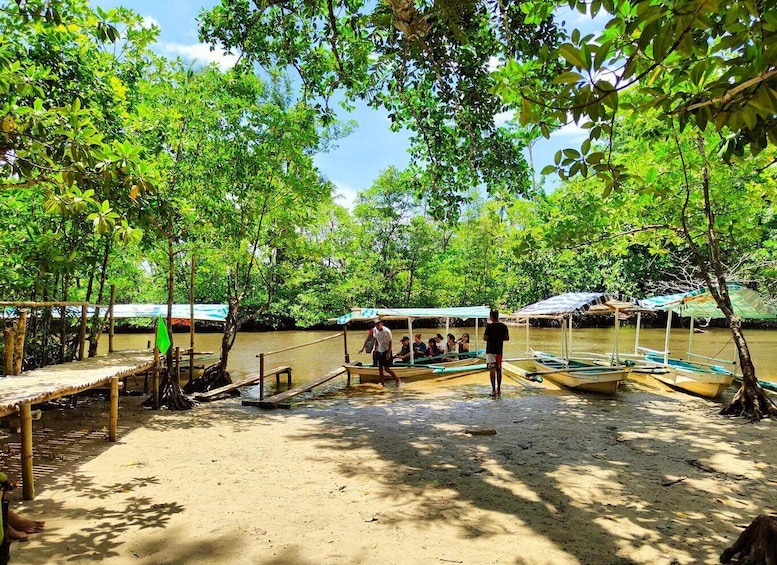 Picture 1 for Activity From Puerto Princesa: Underground River Guided Day Trip