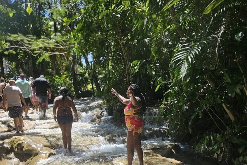  Dunn's River Falls and Ocho Rios Sightseeing with Shopping