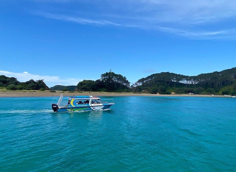 Picture 4 for Activity Hole in the Rock Tour & Bay of Islands Cruise