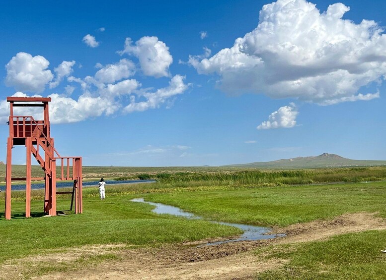 Picture 12 for Activity Camel Trails and Bird Tales: Discovering Elsen Tasarkhai