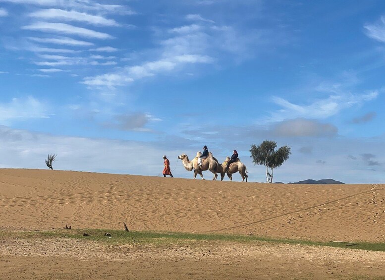 Picture 6 for Activity Camel Trails and Bird Tales: Discovering Elsen Tasarkhai