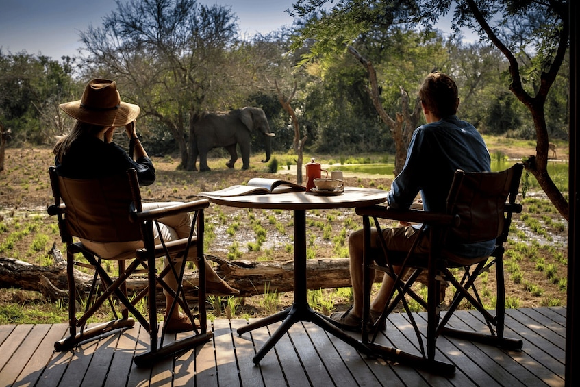 Picture 1 for Activity Kruger National Park: The Best 4 Day Budget Safari