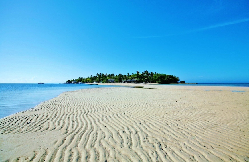 Picture 5 for Activity Cebu Mactan Island Hopping + Picnic Lunch (Private Tour)